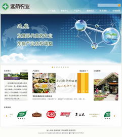 鄭州浩方網(wǎng)絡(luò) 專業(yè)賦能鄭州遠(yuǎn)航農(nóng)業(yè)科技，打造一體化數(shù)字平臺(tái)